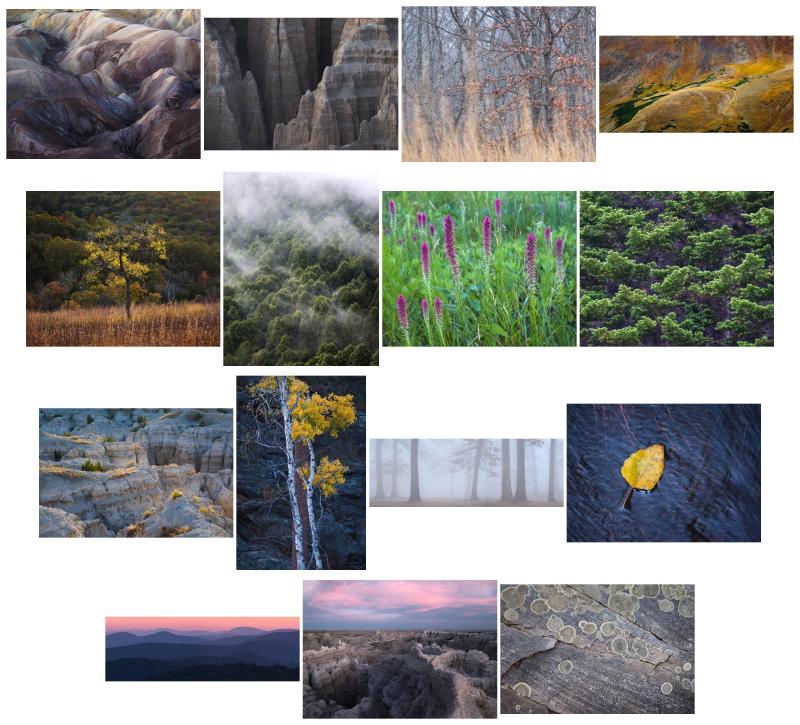 Portfolio images, sorted by hue