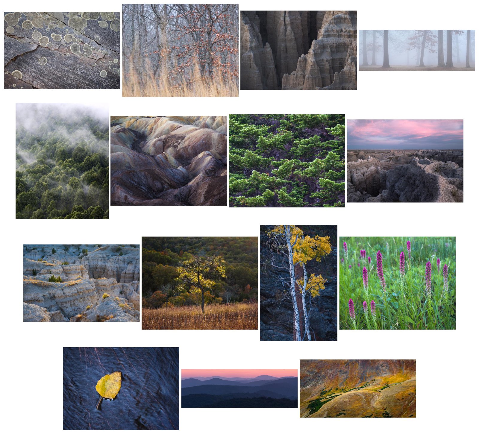 Portfolio collage, sorted by saturation.