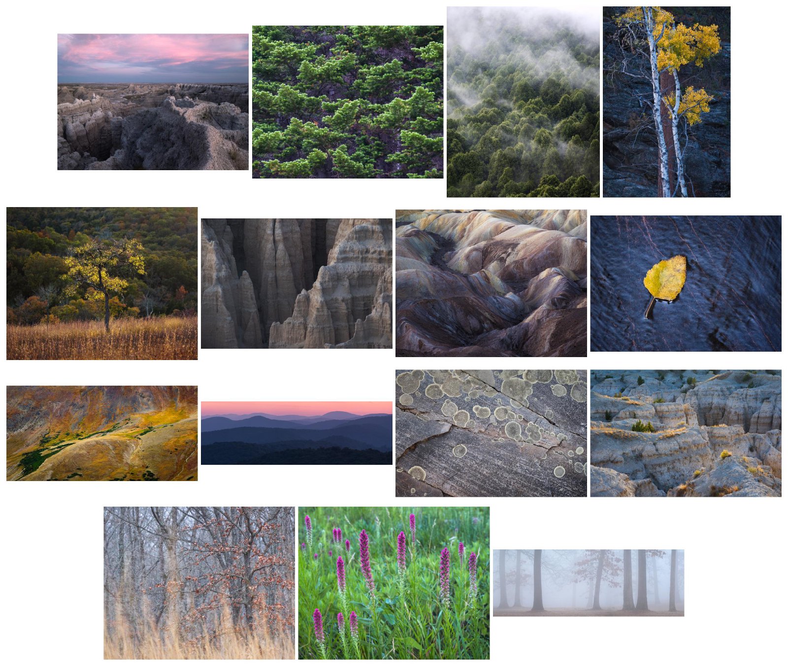 Portfolio collage, sorted by value.
