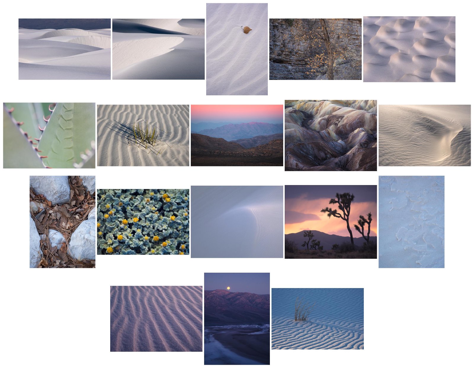 _Desert Enchantment_ collage, sorted by saturation.