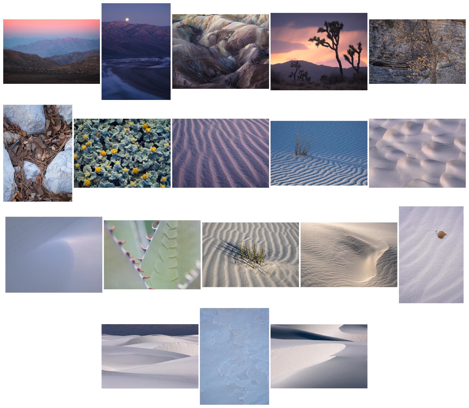 _Desert Enchantment_ collage, sorted by value.