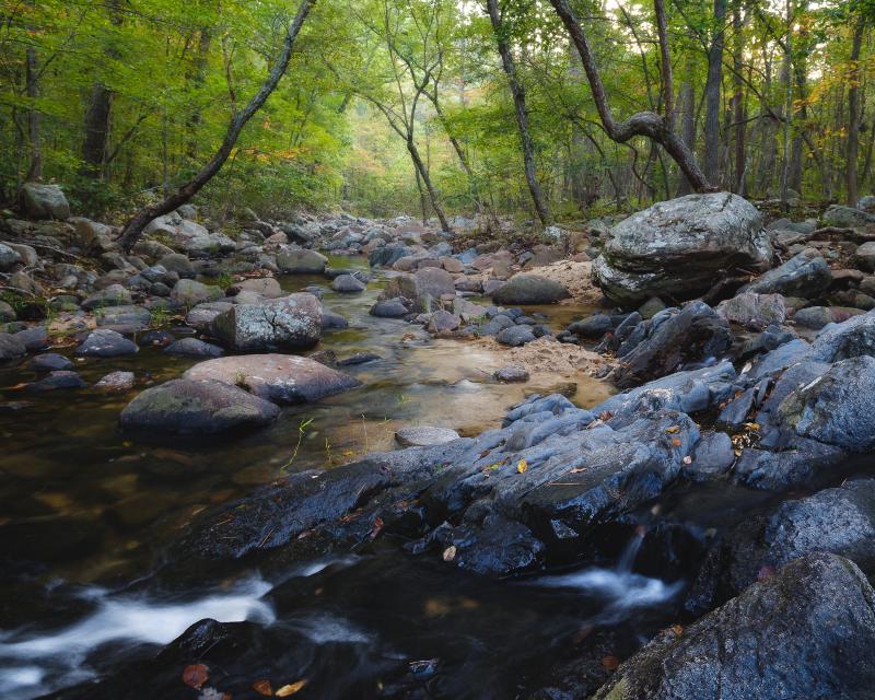 Missouri creek with warm morning light