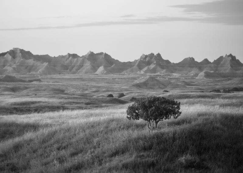 Black and white image of soft, pre-dawn light over Badlands National Park