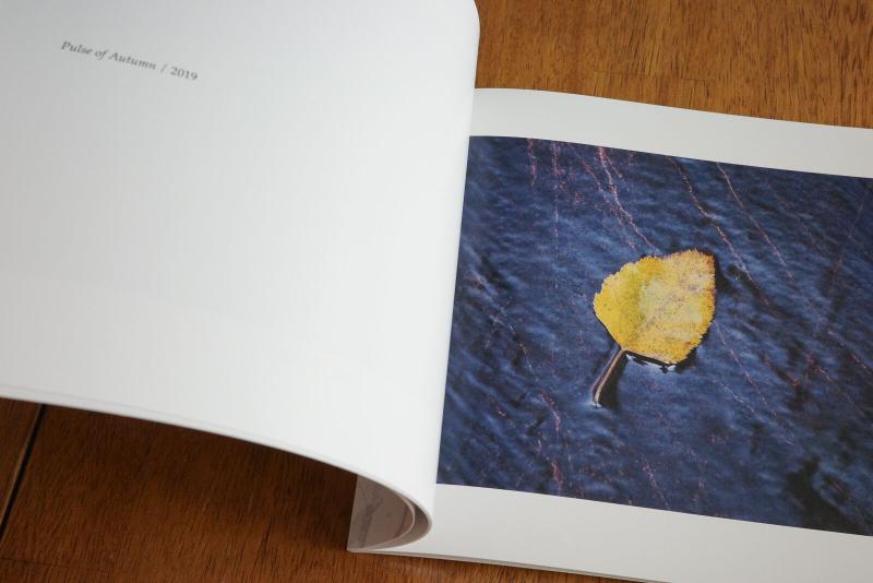 Spread from Rhythms of Leaf and Stone zine