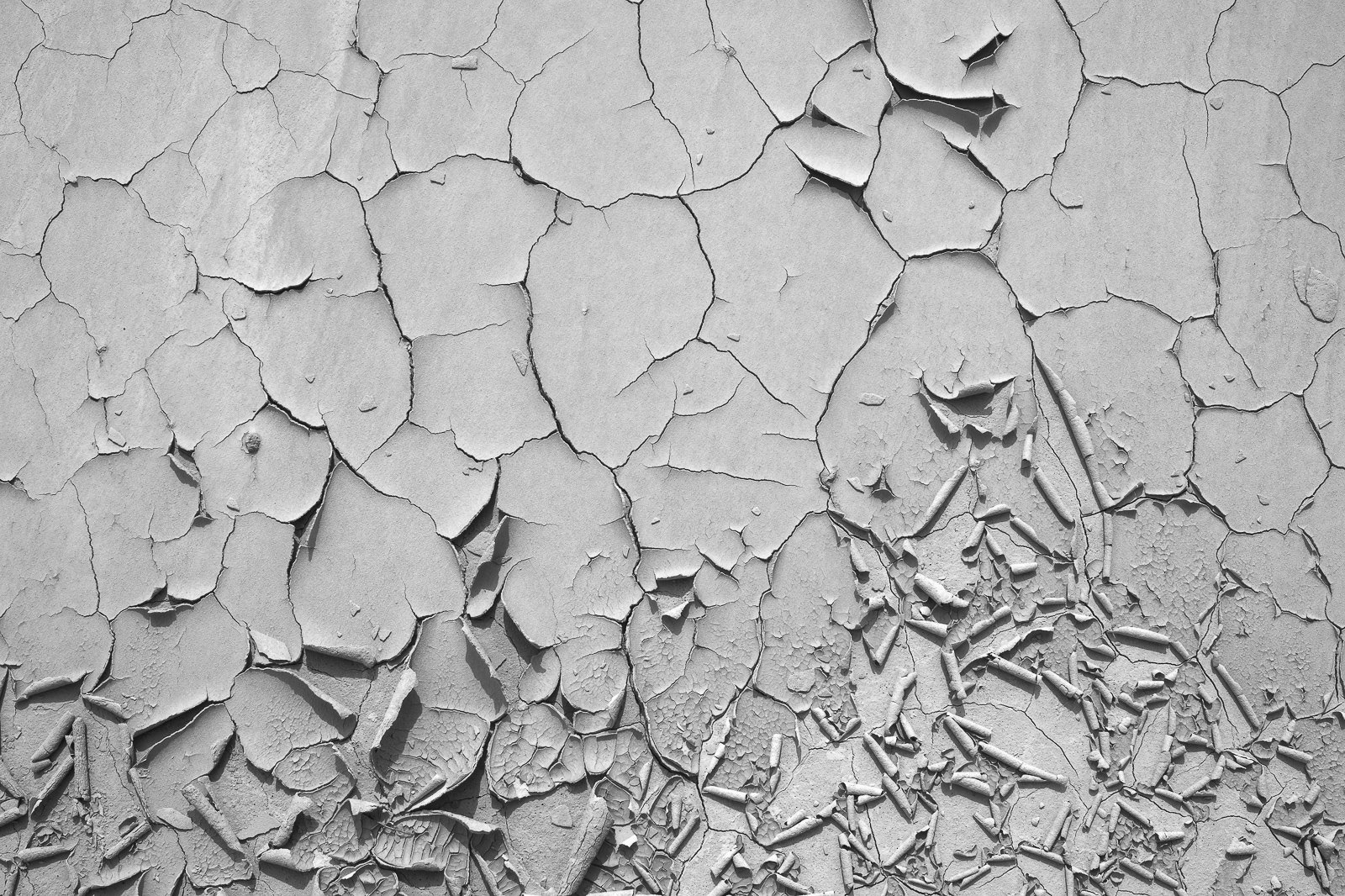 Bright Desolation / 4