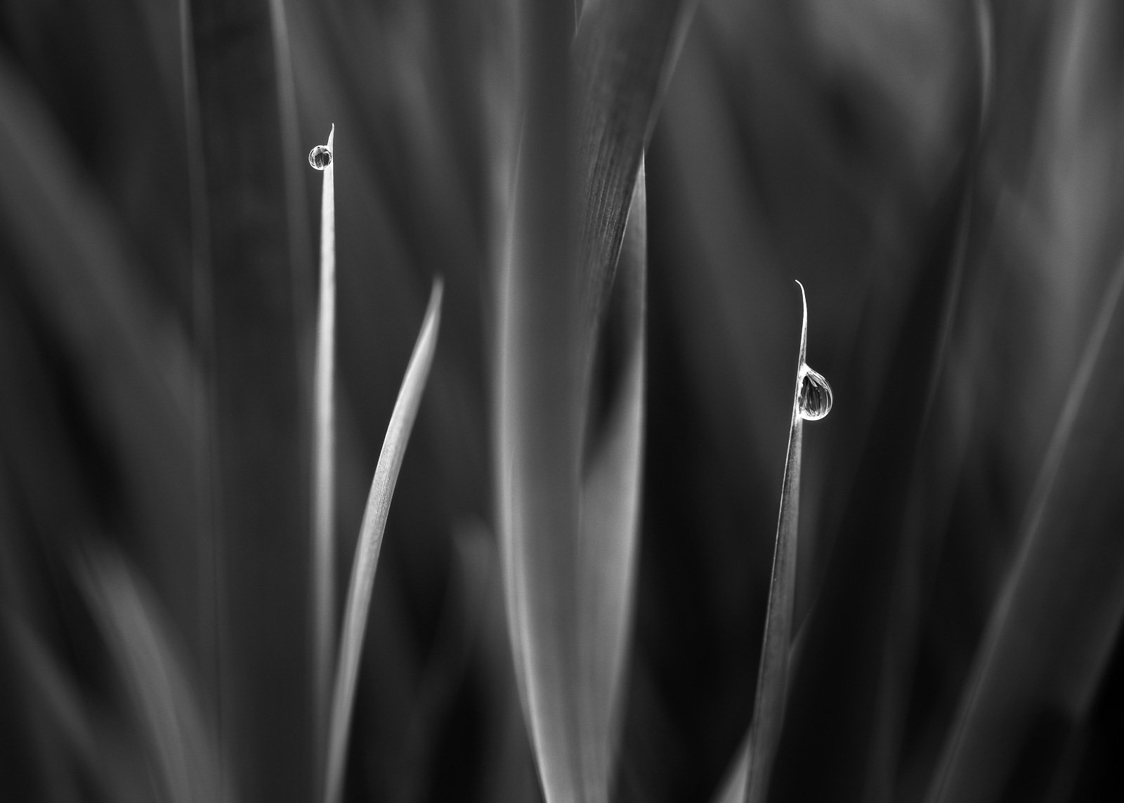 Collective Isolation / 1