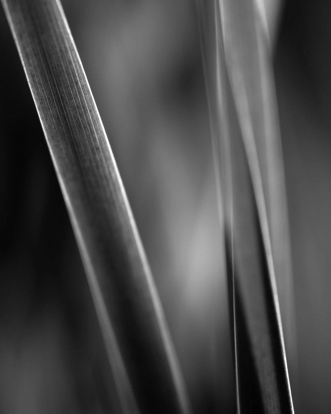Collective Isolation / 2