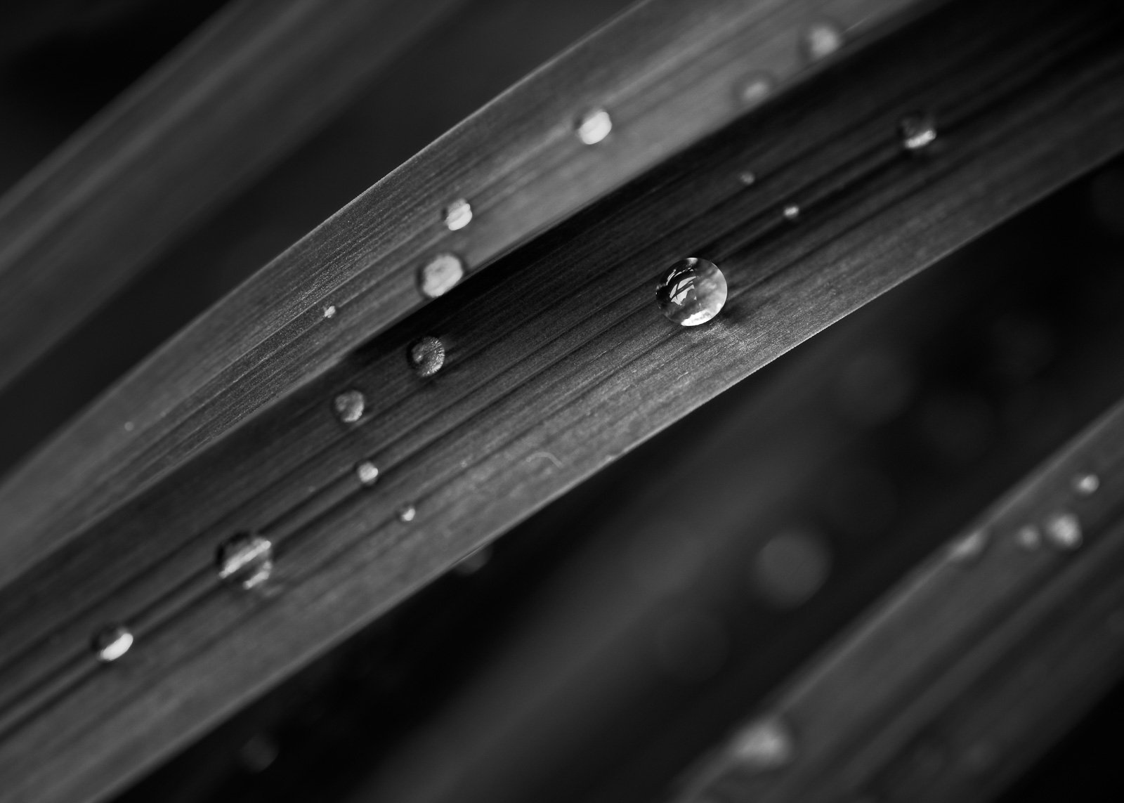 Collective Isolation / 3