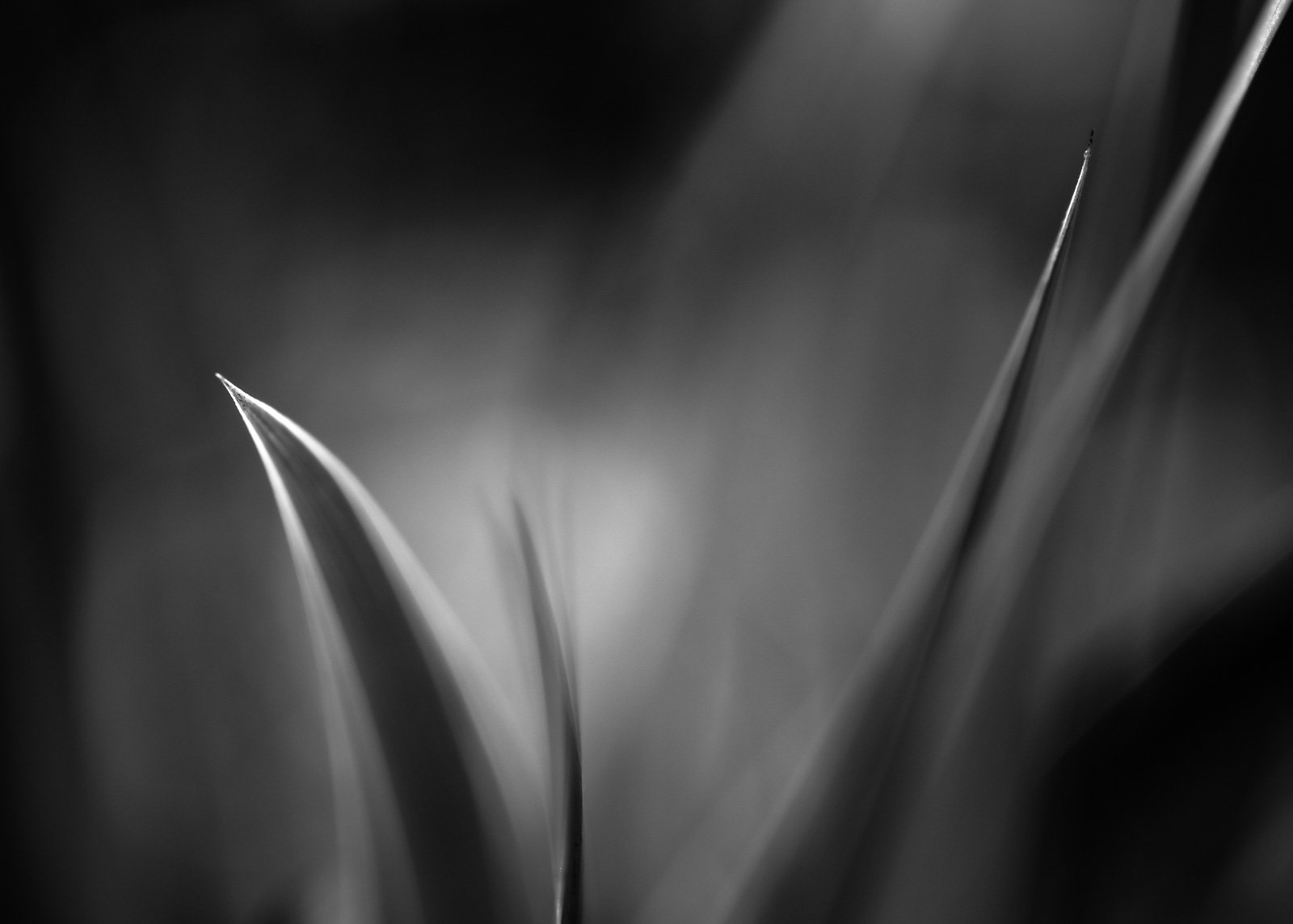 Collective Isolation / 4