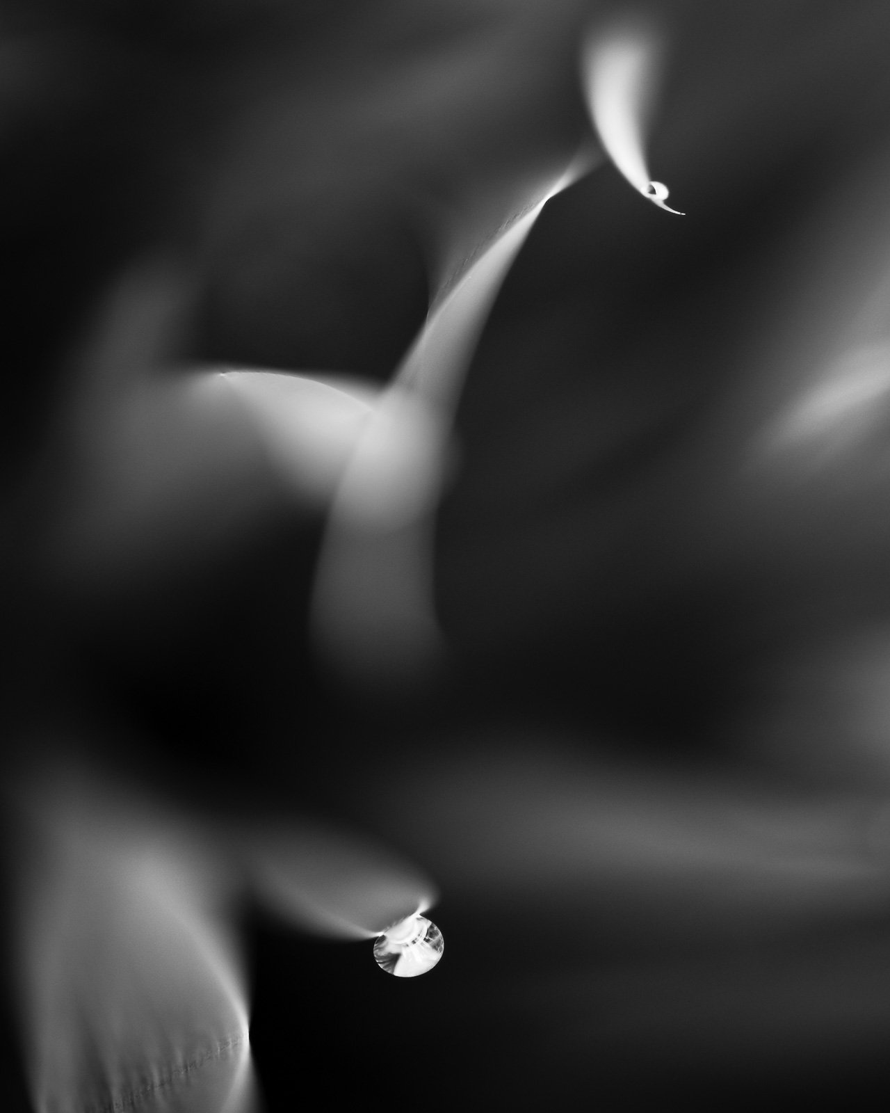 Collective Isolation / 5