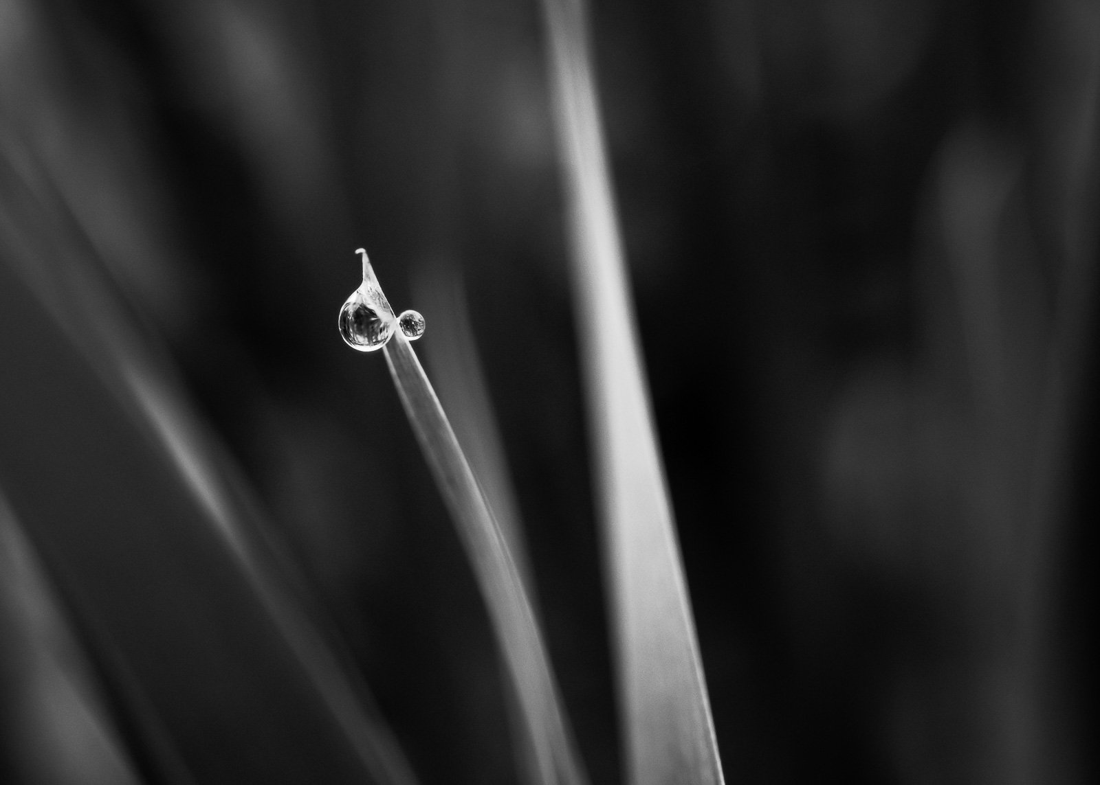 Collective Isolation / 6