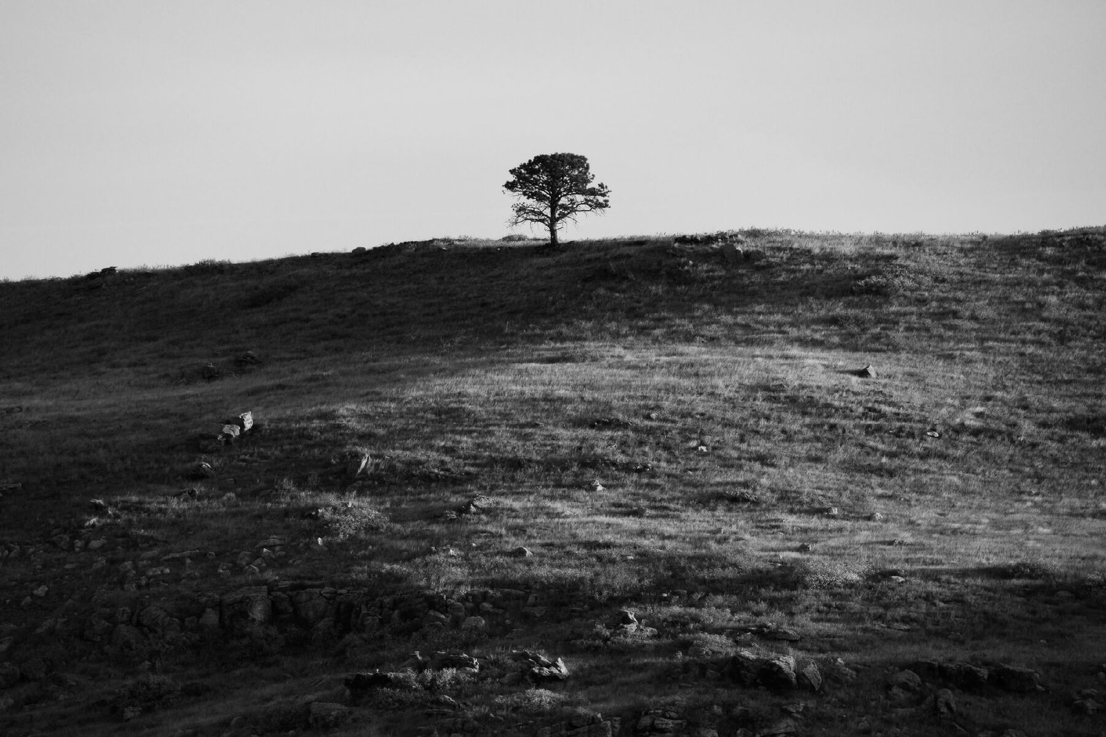 Solitary Freedom