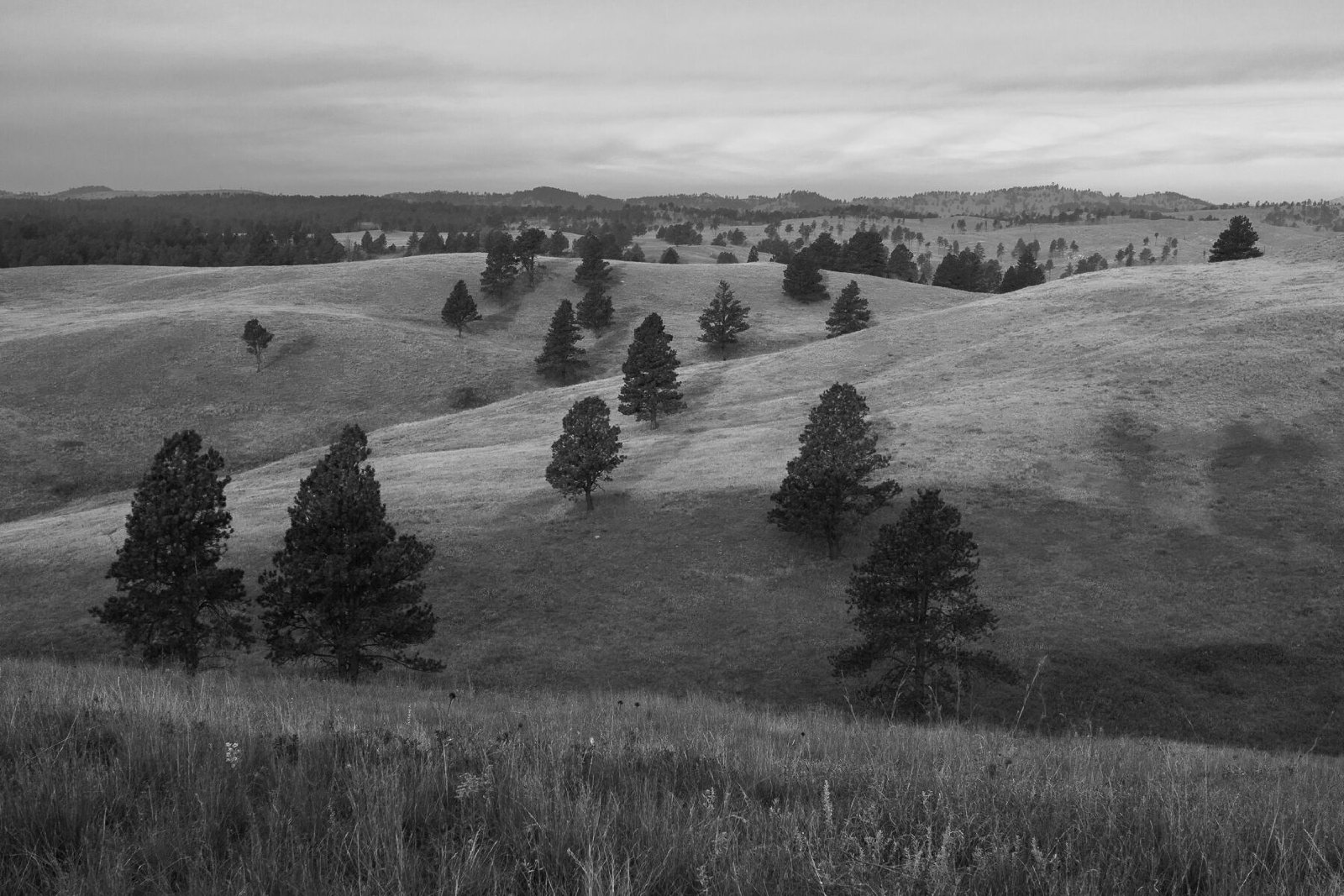 To the Hills