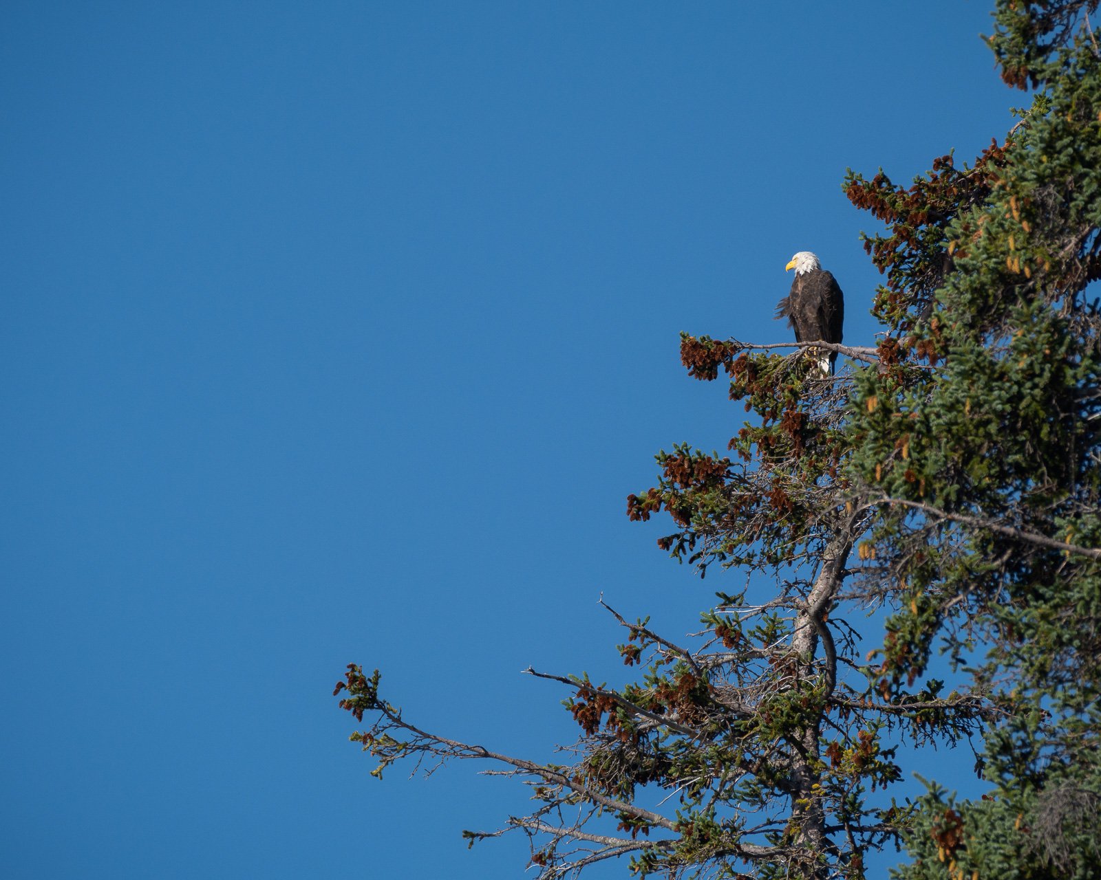 The Last Frontier / 28