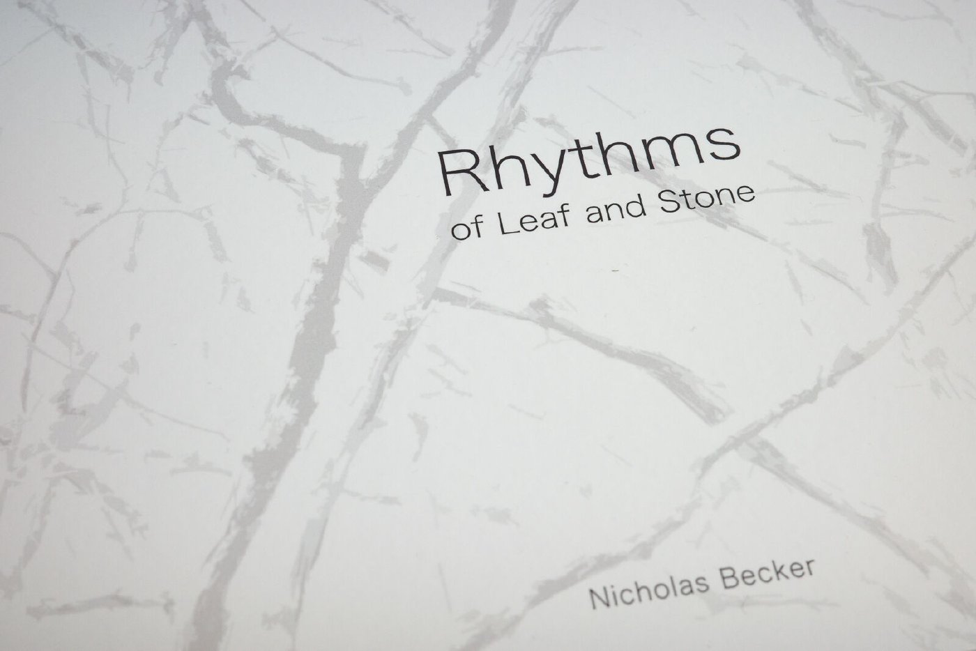 Rhythms of Leaf and Stone — image 2 of 6